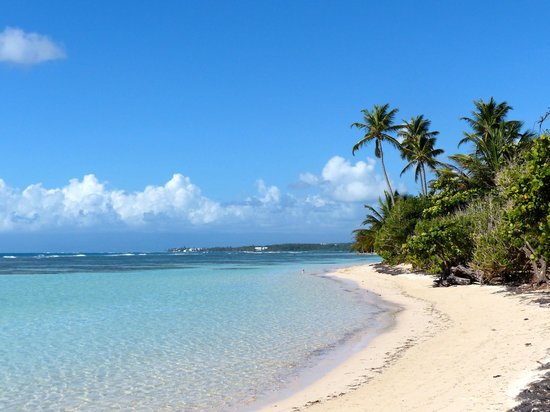 Top 5 Des Plus Belles Plages En Guadeloupe Voyage Aux Antilles